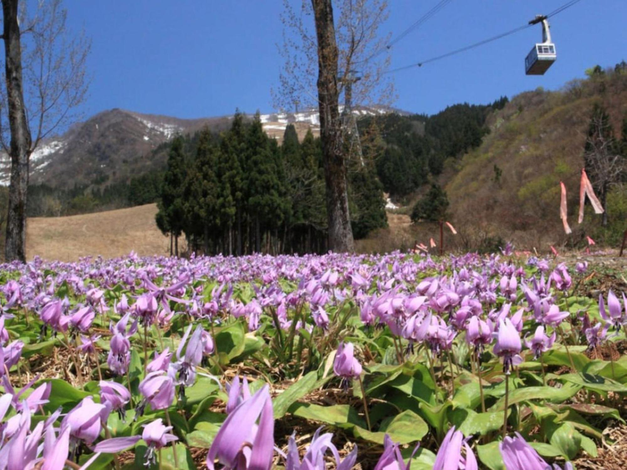 Pension Come Tatami-Room With A Calm Atmosphere - Vacation Stay 14983 Minamiuonuma Exteriör bild